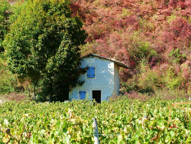 saillans - drôme - paysage cabanon vigne
