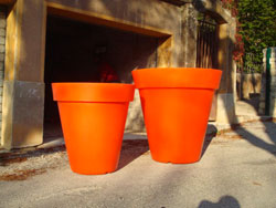 Fleurissement des nouveaux pots orange