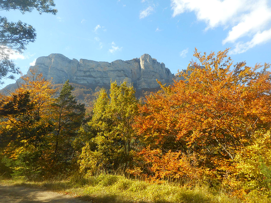 paysage d'automne 3 becs Saillans