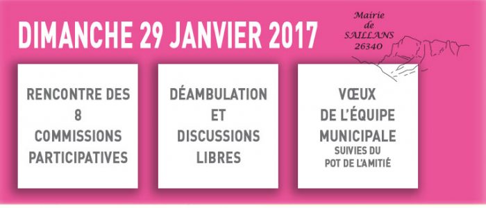 bilan participatif et voeux municipaux 2016