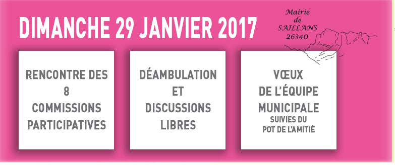 bilan participatif et voeux municipaux 2016