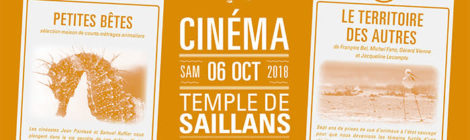 Rendez-vous Cinéma #16 Samedi 6 octobre 2018  Ciné-bébêtes