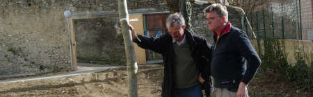 Un nouvel arbre du rez-de-jardin de la Maison de Santé