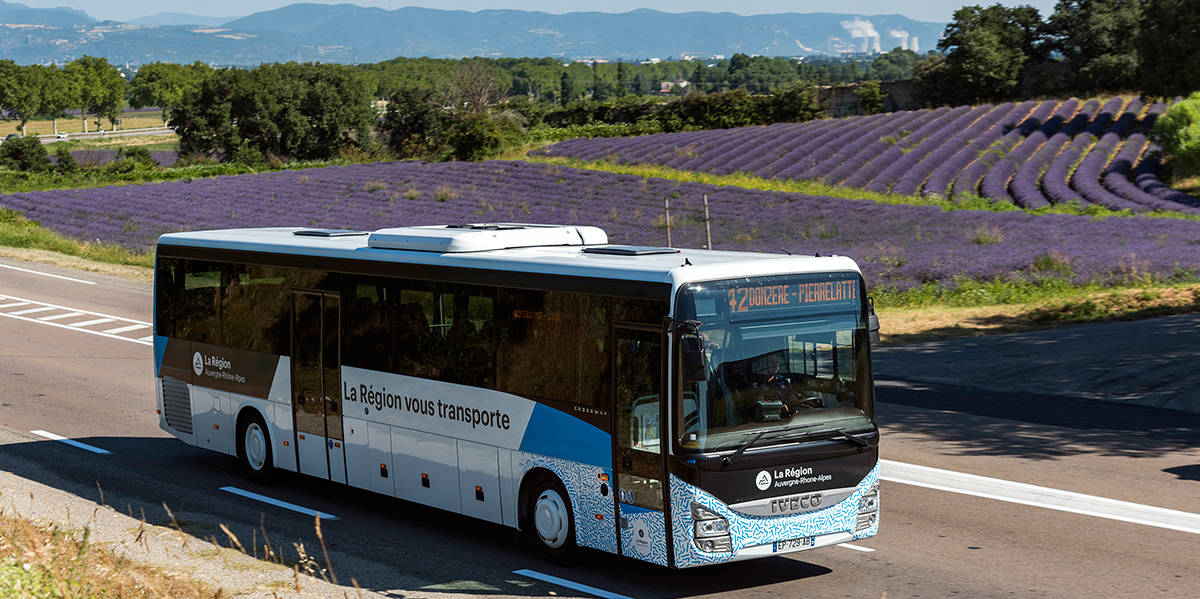 car, bus scolaire région